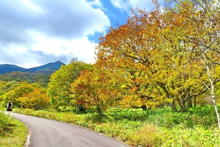 2015-10-8b-02.JPG
