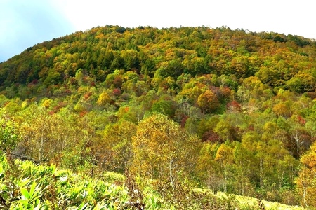 2015-10-8b-05.JPG