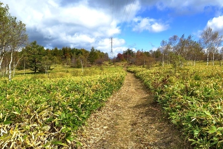 2015-10-8b-07.JPG