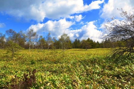2015-10-8b-09.JPG