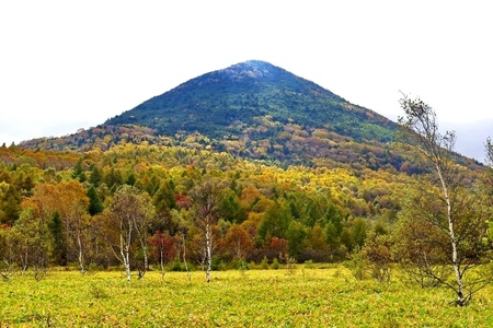 2015-10-8b-11.JPG