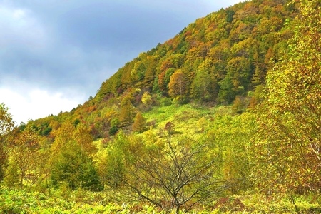 2015-10-8b-12.JPG