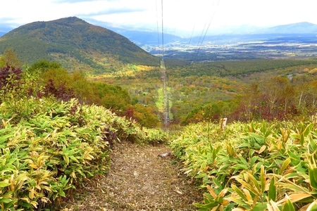2015-10-8b-14.JPG