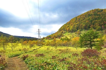 2015-10-8b-16.JPG