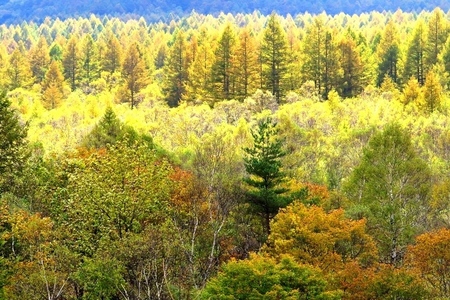 2015-10-8b-18.JPG