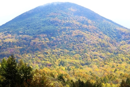 2015-10-8b-19.JPG